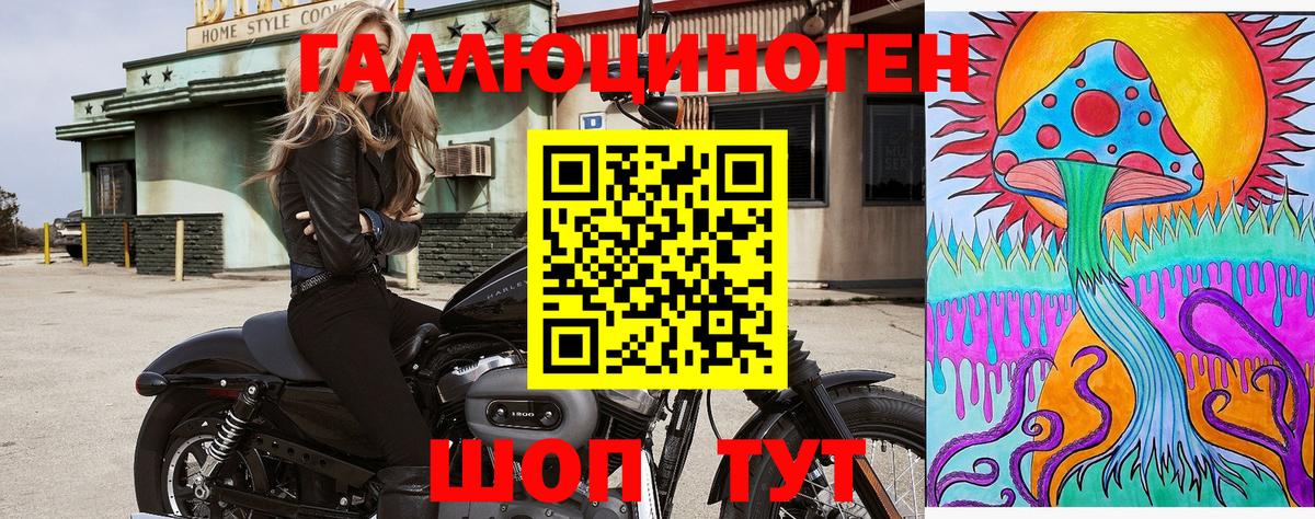 Псилоцибиновые грибы ЛСД Дивногорск